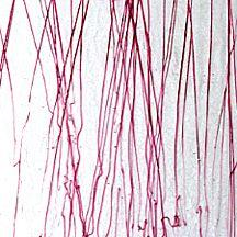 BULLSEYE 4156-00F Streamer �25x29cm